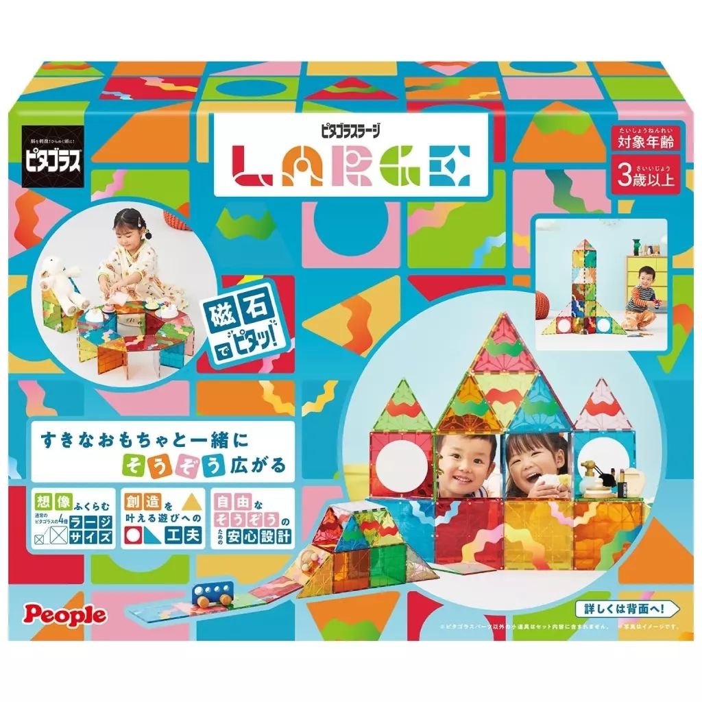 トップ 大正琴月光 エレキ 木製 ケース、 チューナー付