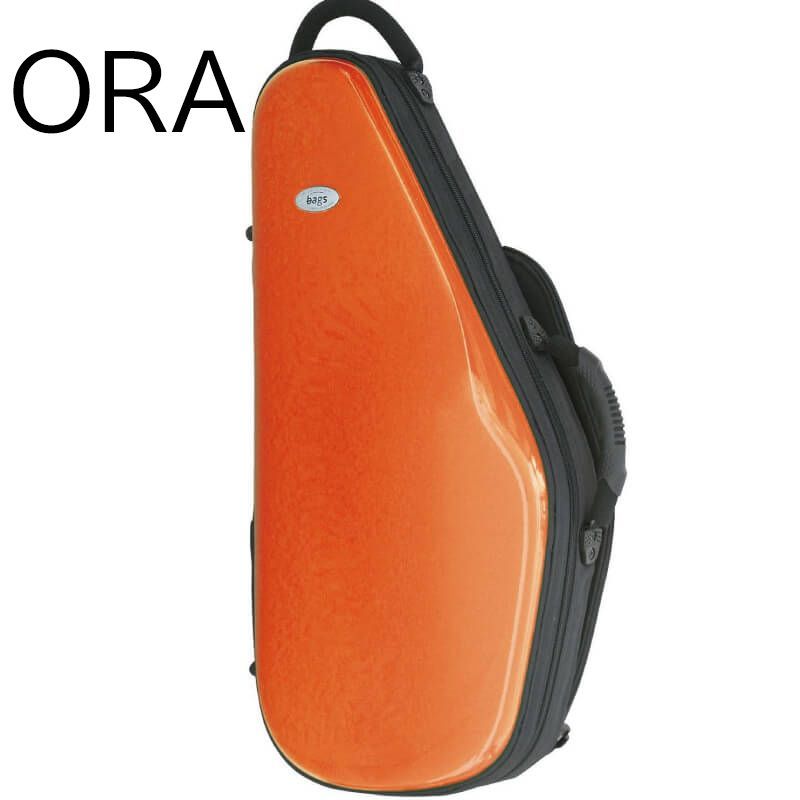 CASE