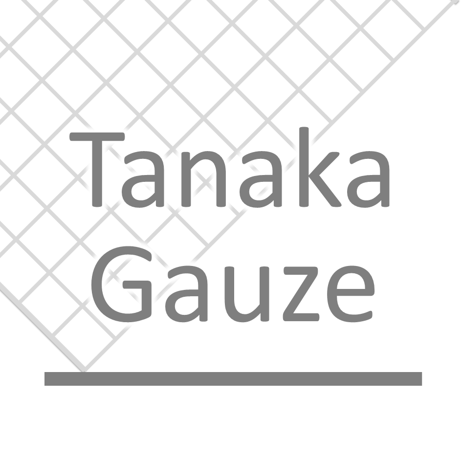 やさしいガーゼ /最高の沐浴布1枚/袋入/赤ちゃんのお風呂説明書付｜タナカガーゼ