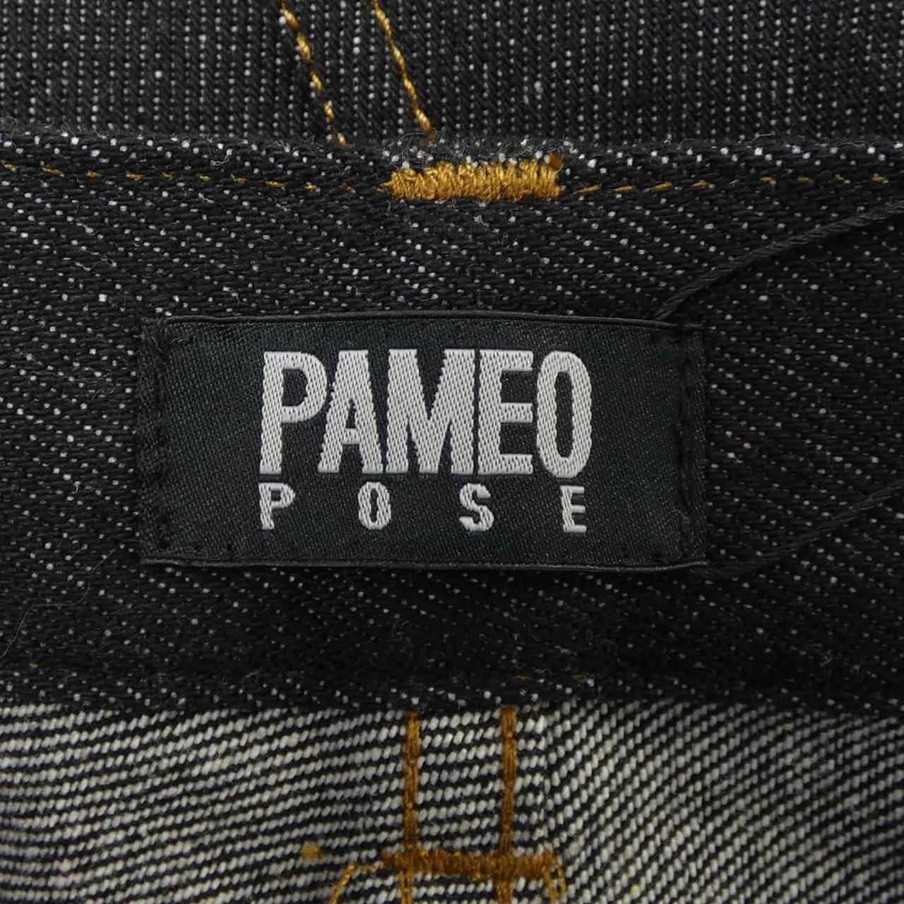 PAMEO