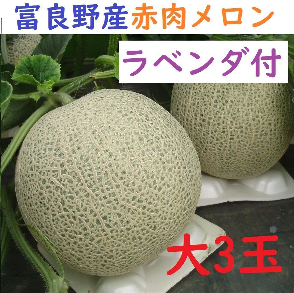 富良野産 赤肉メロン 大3玉 （1.8ｋｇ以上/玉）ラベンダ付 富良野産 赤肉メロン 大3玉 ラベンダ付（1.8kg以上/玉