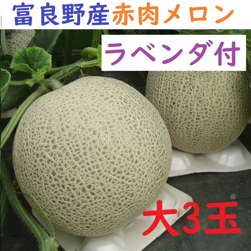 富良野産 赤肉メロン 大3玉 （1.8ｋｇ以上/玉）ラベンダ付