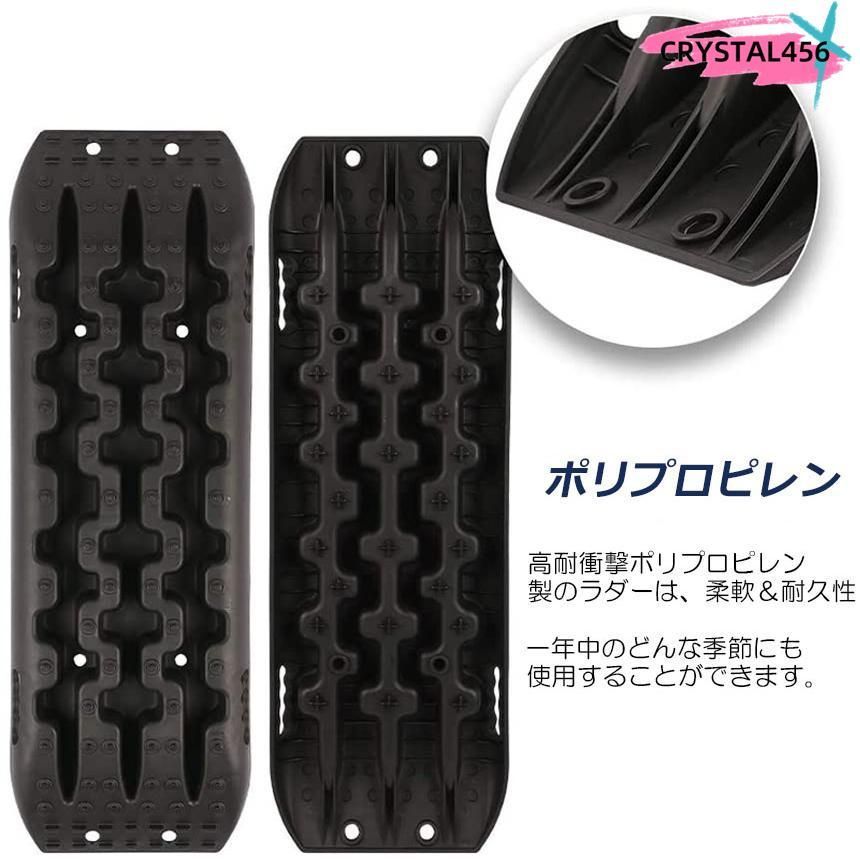 北海道で越冬 ホップ 苗 カスケード 10株セット 2年目 耐寒性 宿根草