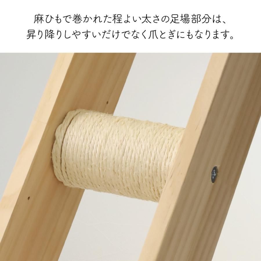 キャットウォーク