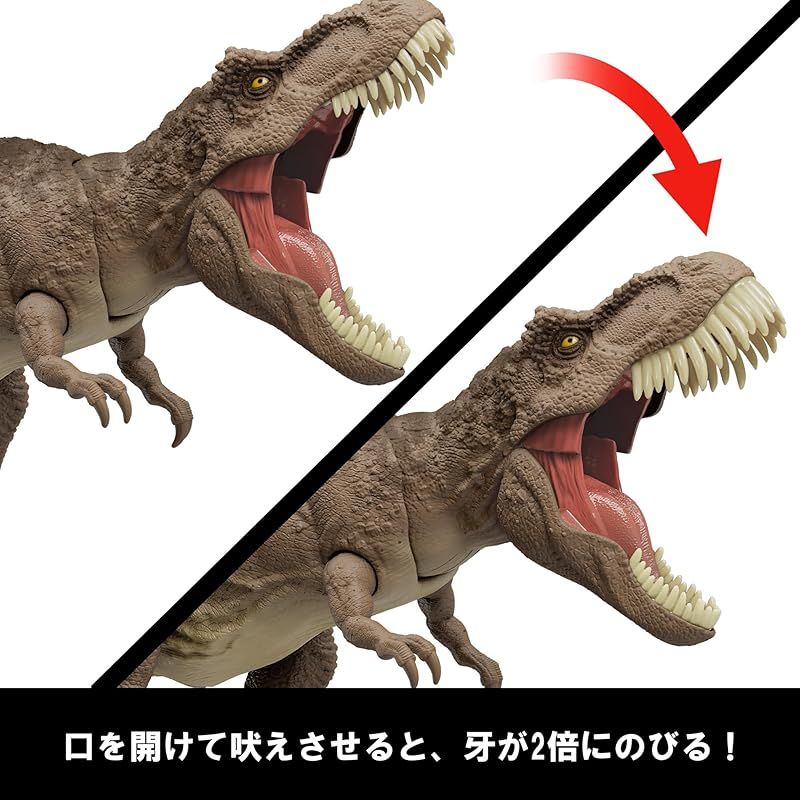 全長