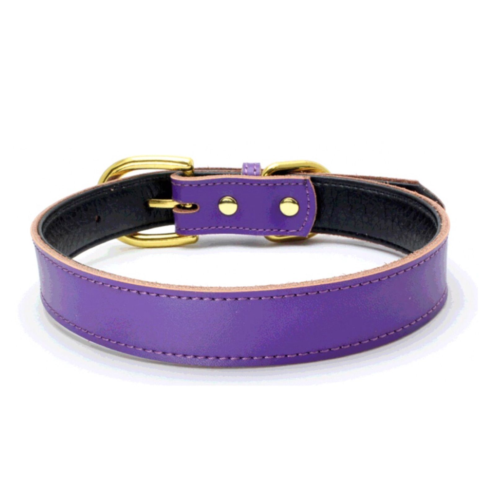 犬 首輪 リード セット 本革 おしゃれ 犬首輪 ゴールド 小型犬 S 高級 ブラック 黒 豪華