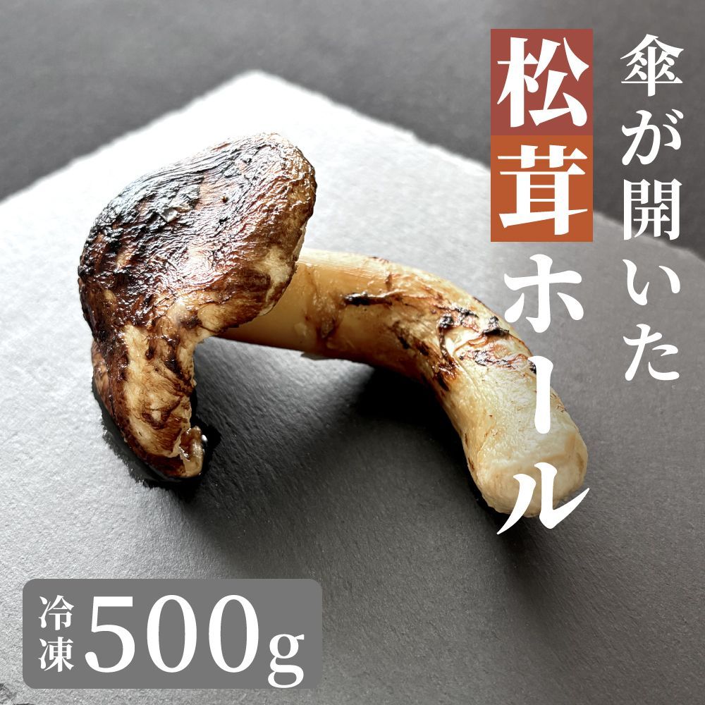 松茸 500g 北米産 まつたけ カナダ・アメリカ産 ご家庭用 送料無料 見にく 食品