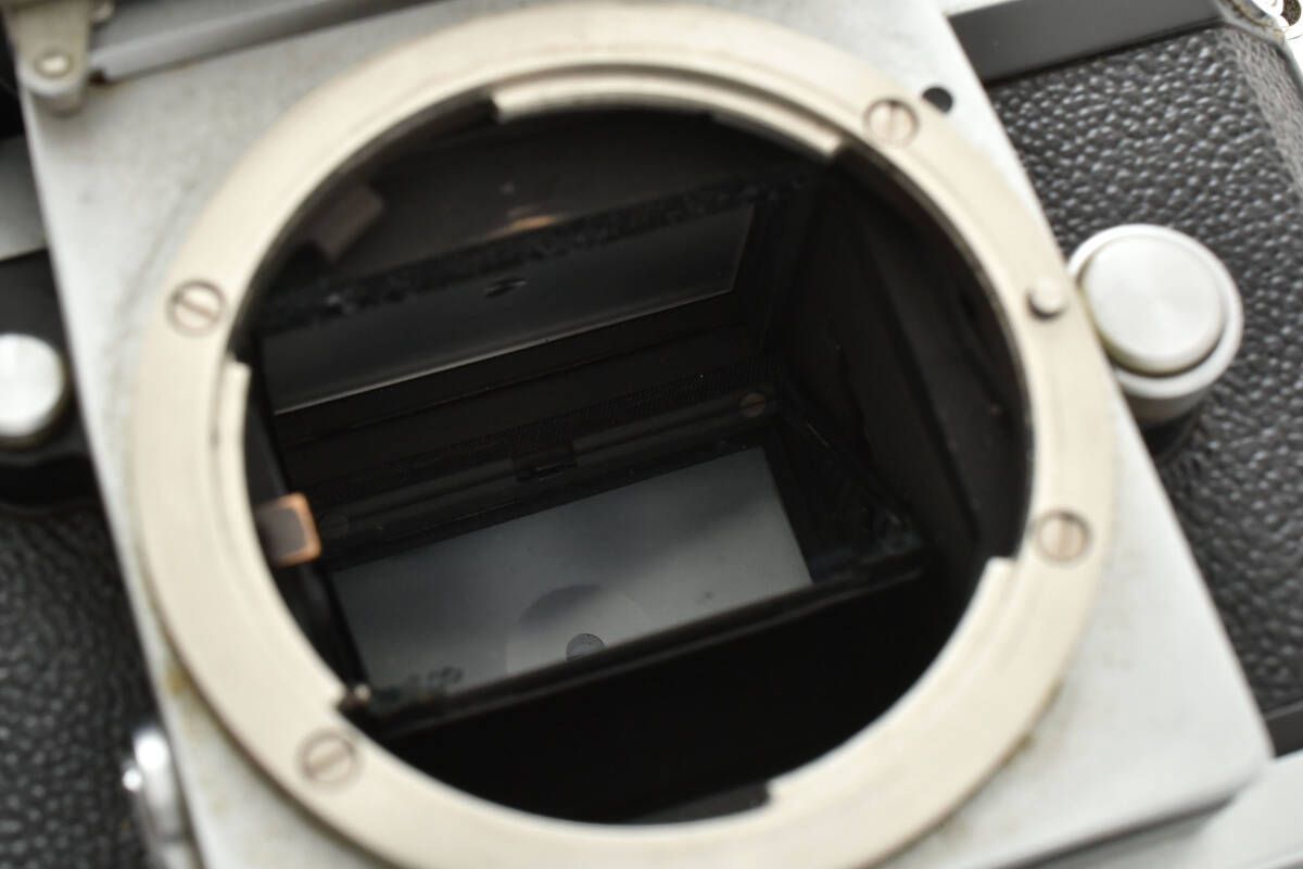 FTn ボディ富士山