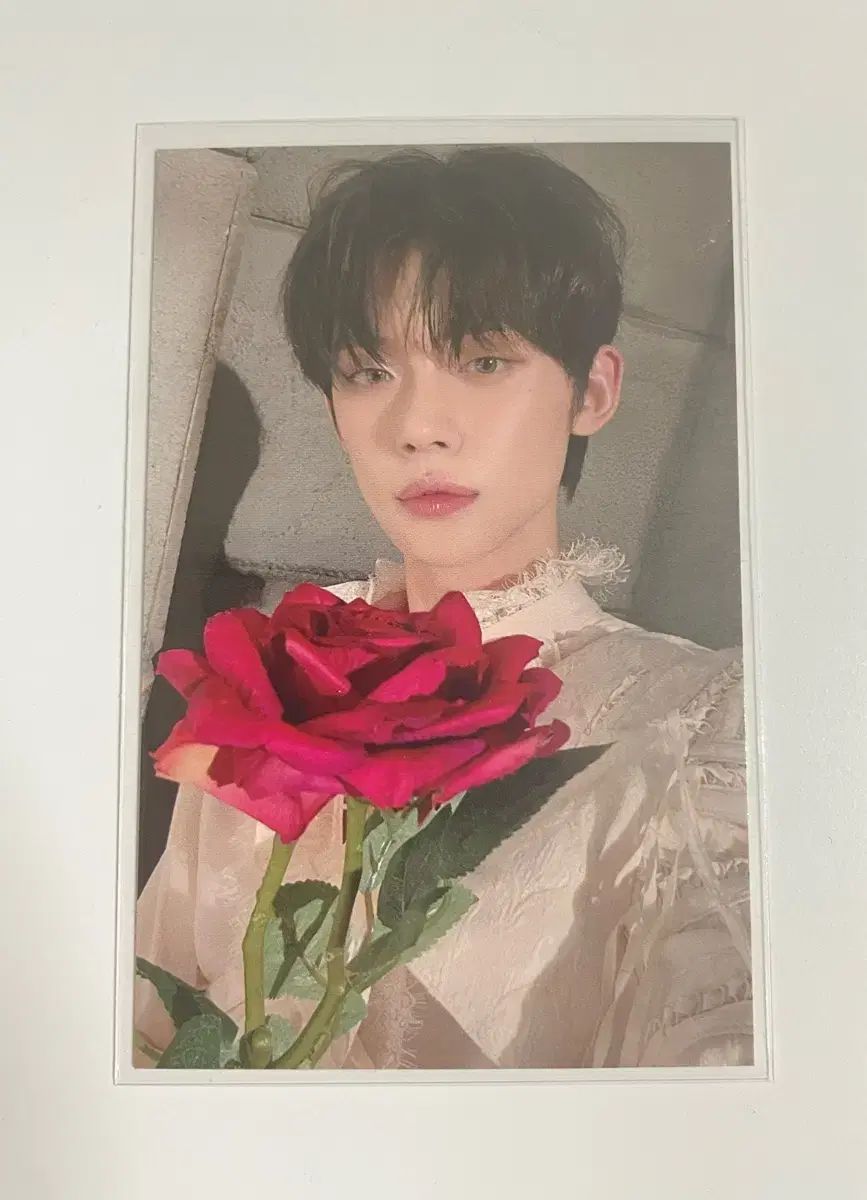 バラ売り可能】txt トレカ まとめ売り ヨンジュン