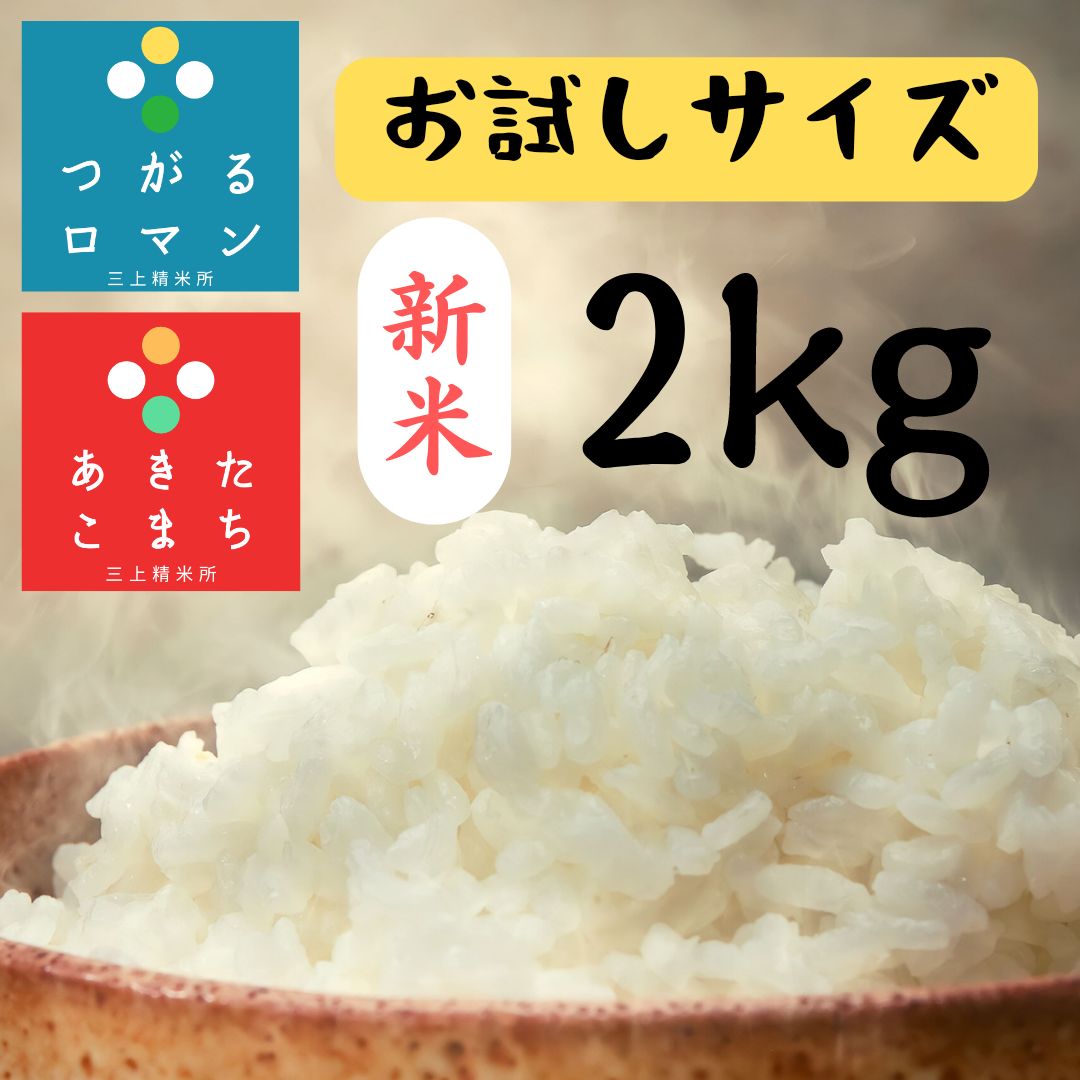 精米 青森県産 白米 青天の霹靂 2kg 令和4年産