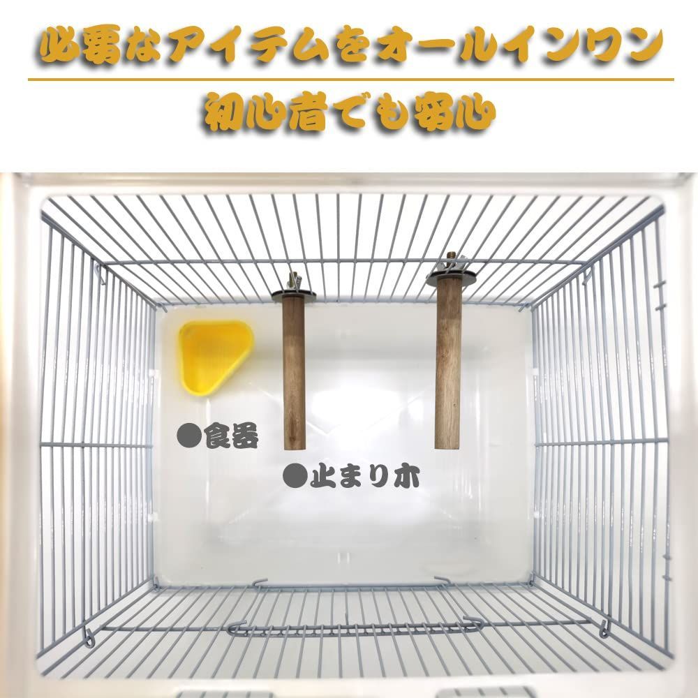 数量限定】お出かけ キャリーケージ アクリル キャリー 文鳥