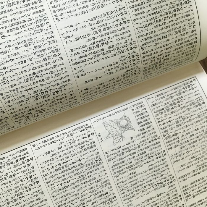 辭苑　博文館版 61l5OdYMPhL._UF350,350_QL50_.jpg