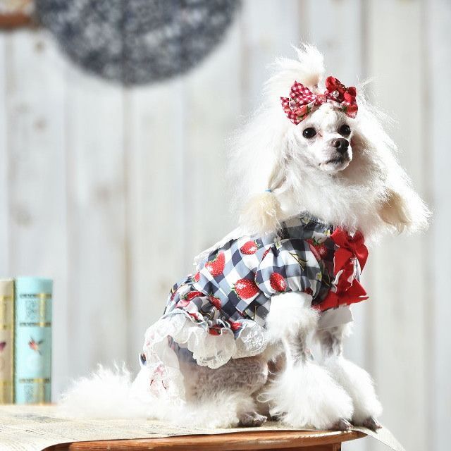 きゃんナナ 犬服 春 夏 ワンピース CANNANA いちごプリンセス