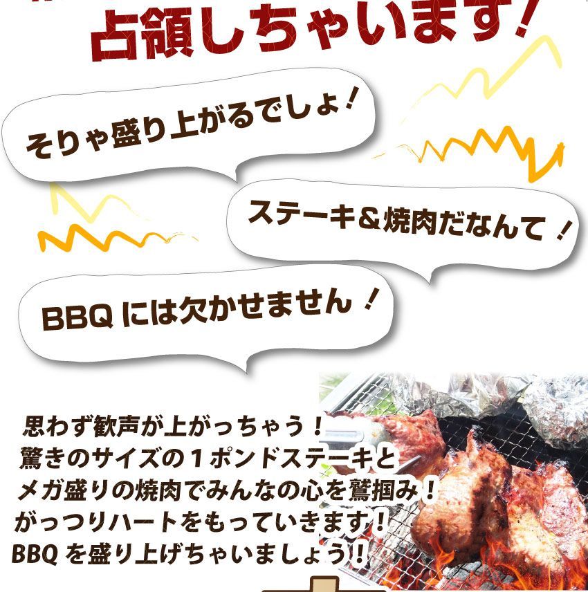 牛肉肉ステーキ＆焼肉BBQギガ盛り3kg超福袋肉祭りセットタレハサミトングトレー付きギフト食品キャンプキャンプ飯