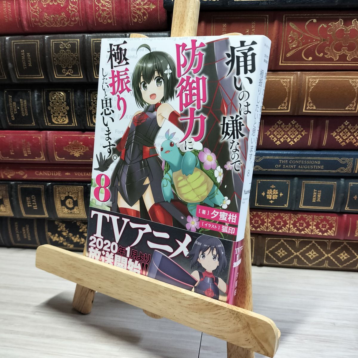 8-1 痛いのは嫌なので防御力に極振りしたいと思います。 8 8-1 痛いのは嫌なので防御力に極振りしたいと思います。 8