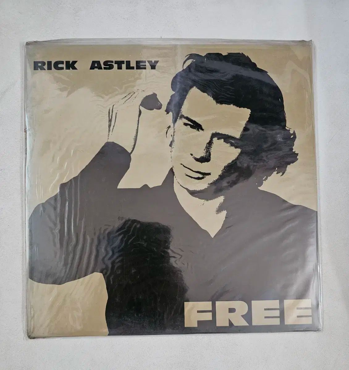 真作】赤松雲嶺/秋山晩趣之図/山水図/幽居図/掛軸/名家伝来/AD-271