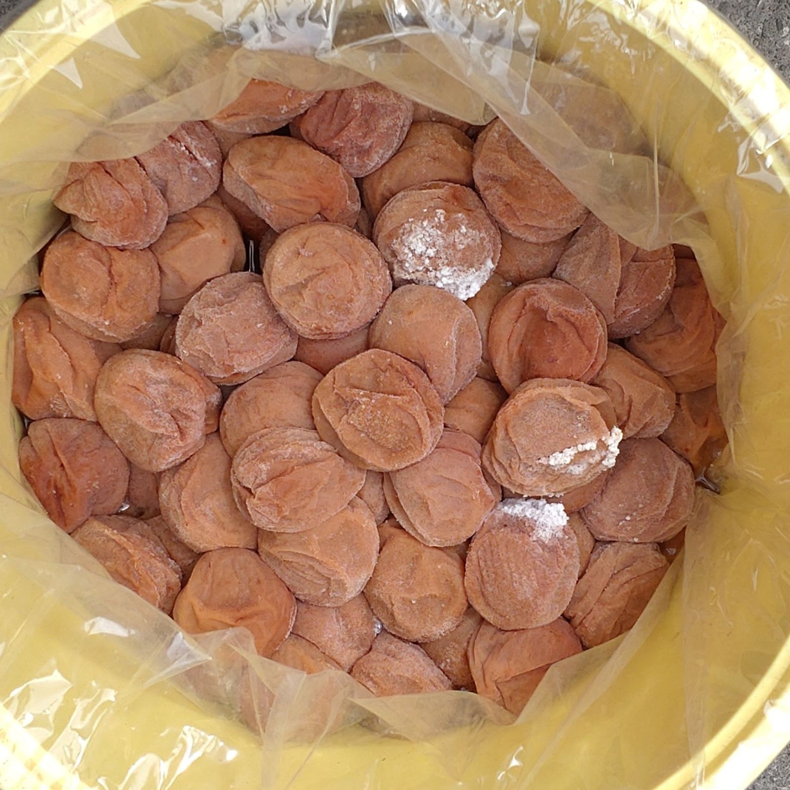 完熟白干し梅 A～B10kg樽入り