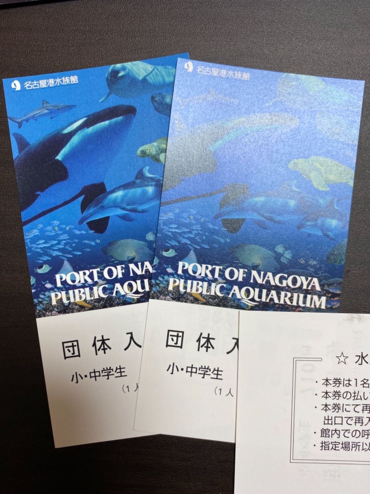 名古屋港水族館 チケット