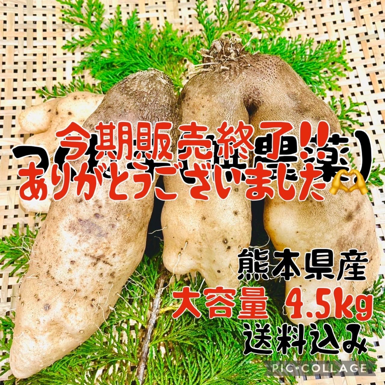 秀品】熊本産 つくね芋（山芋）無農薬 約4.5kg - メルカリ