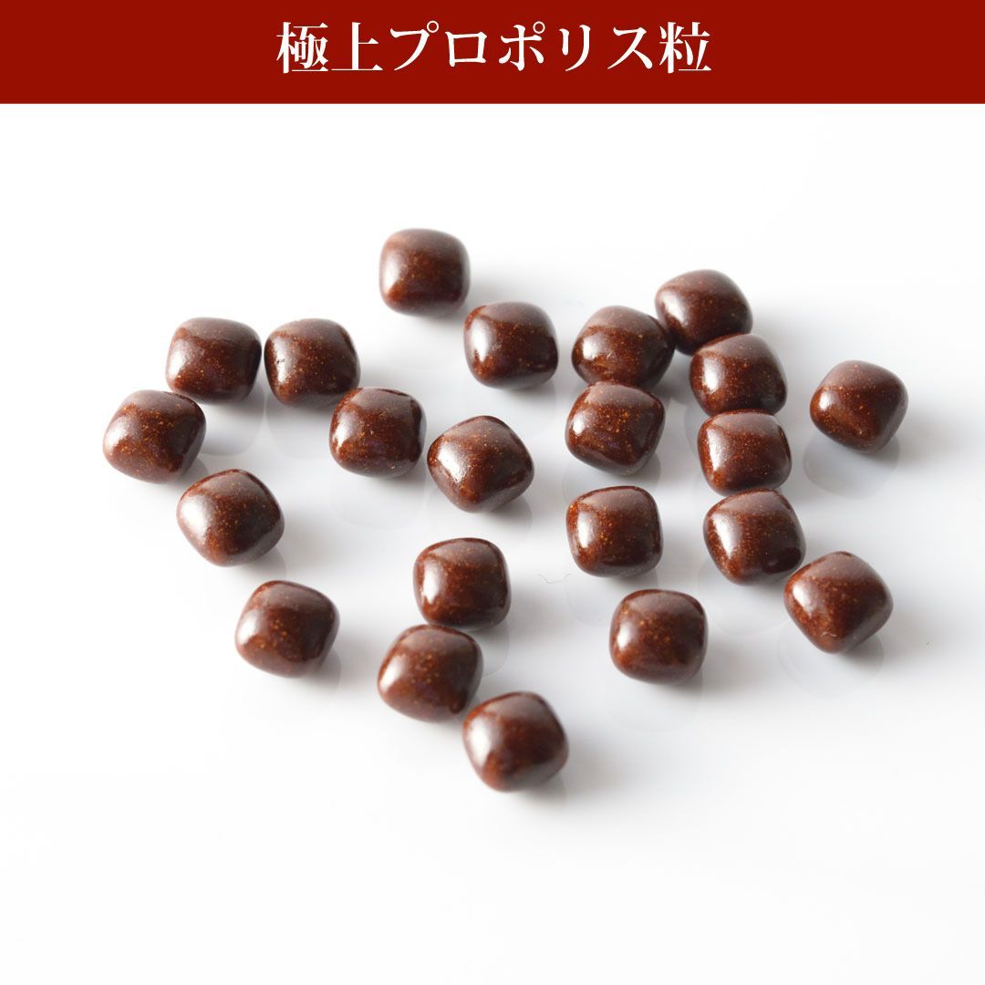 アーモジャパン 極上プロポリス粒（３００粒入） 公式アーモジャパン極上プロポリス粒（３００粒入） 公式