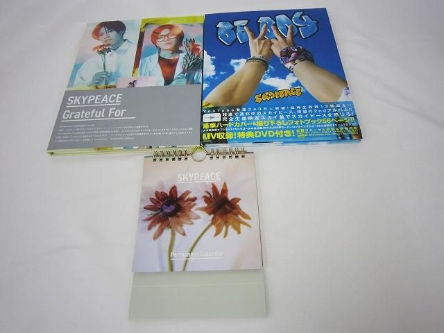 中古品 アーティスト SKYPEACE スカイピース のみ Grateful For