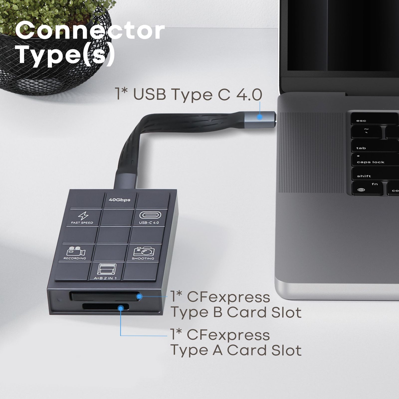 英Columbia LX65/9 シベリウス 交響曲第1番 カヤヌス カヤヌス 交響楽
