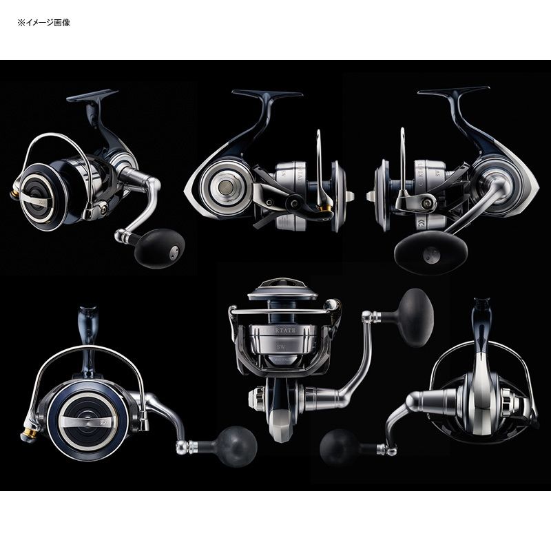 ダイワ(Daiwa)] 21セルテート SW 8000-P - アウトドア＆フィッシング