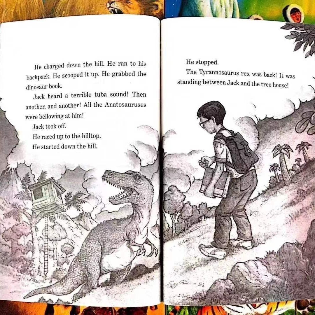 MTH (Magic Tree House )英語絵本38冊 ワークブック1冊卸売り