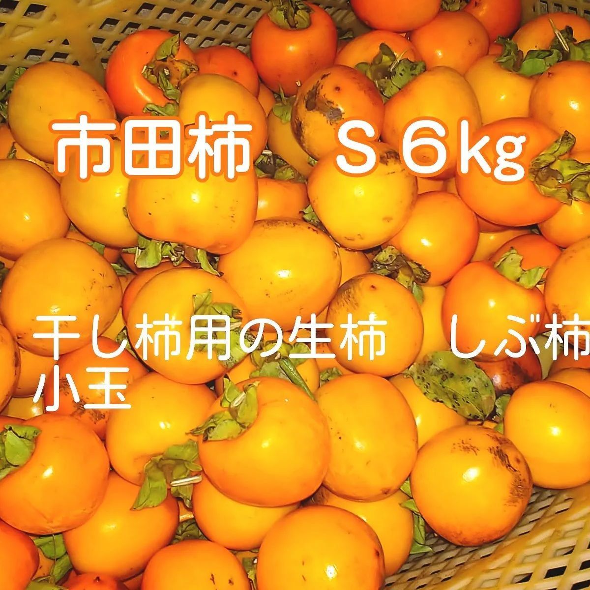干し柿用渋柿 4kg 長野県信州産 - 果物