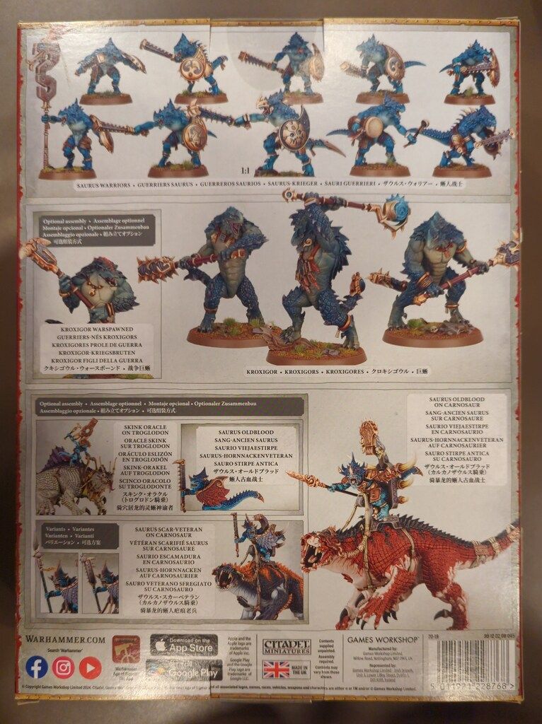 GAMES WORKSHOP WARHAMMER AGE OF SIGMAR SERAPHON Spearhead スピアヘッド セラフォン