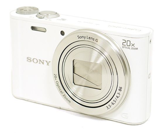 DSC-WX300