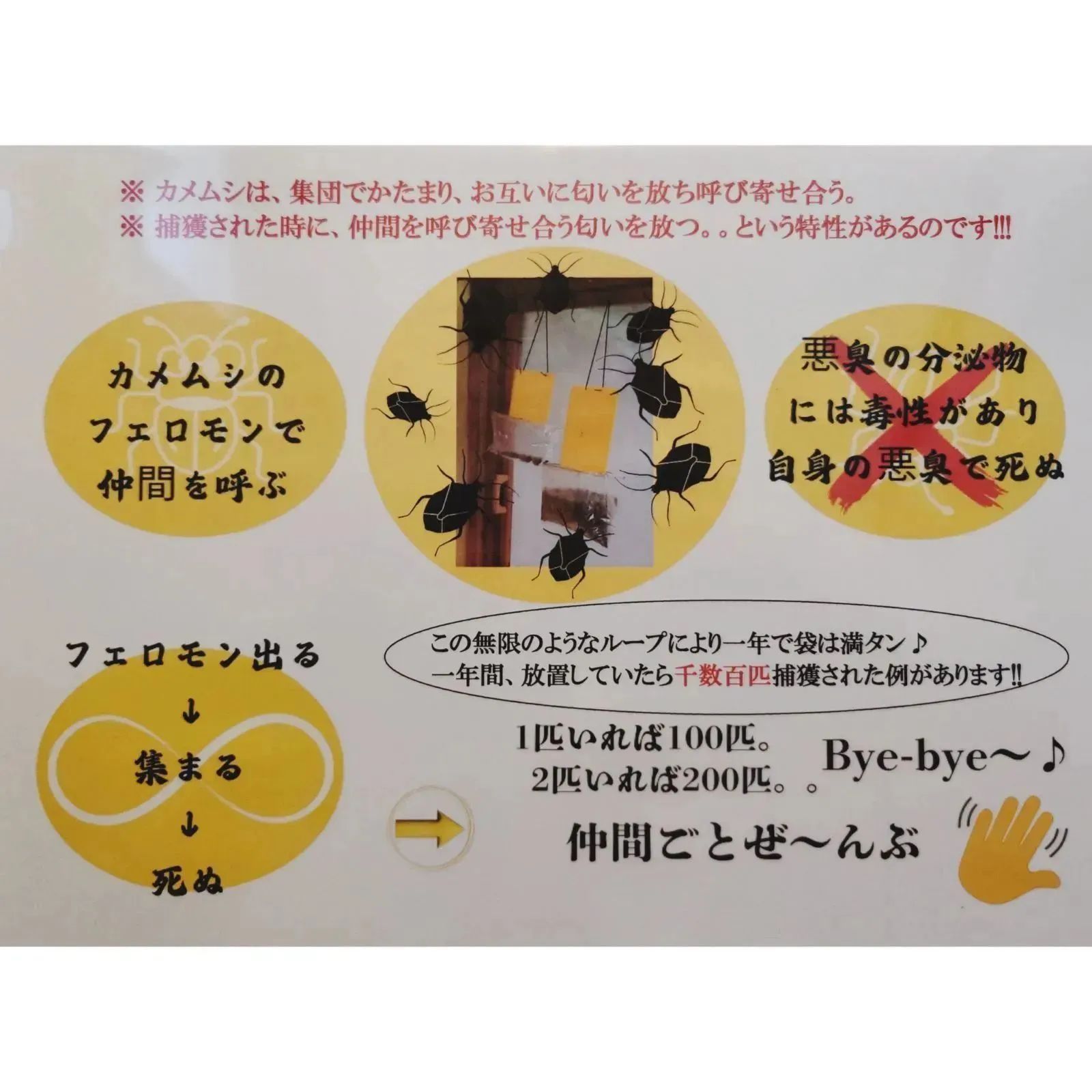 カメムシ駆除・カメムシ捕獲器・害虫駆除・アウトドア・菜園
