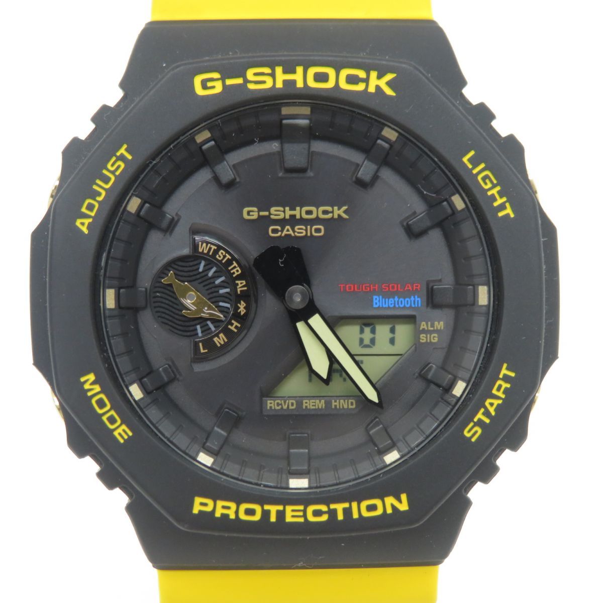 CASIO カシオ G-SHOCK Love The Sea And The Earth イルカ・クジラ GA 