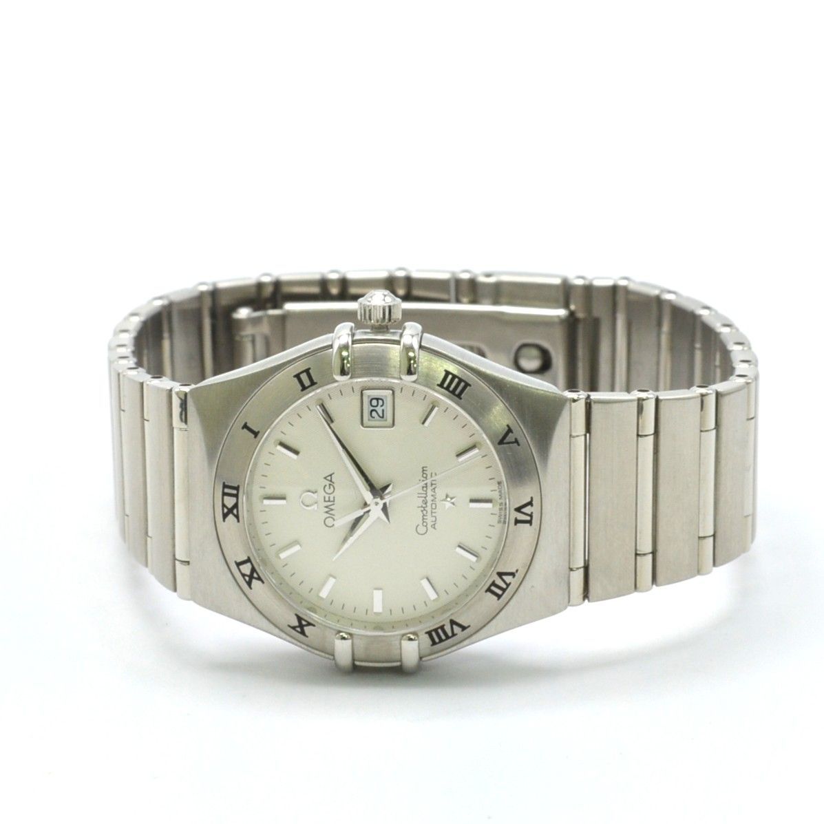 ユッカ ロストラータ【24-539】2頭株 ユッカ：ロストラータ（ツイン