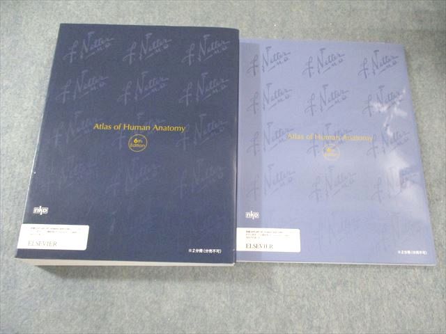 ELSEVIER/南江堂 ネッター解剖学アトラス/別冊学習の手引き 原書