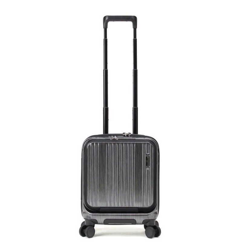 新品 未開封 】 BERMAS INTER CITY 【バーマス インターシティ】 機内