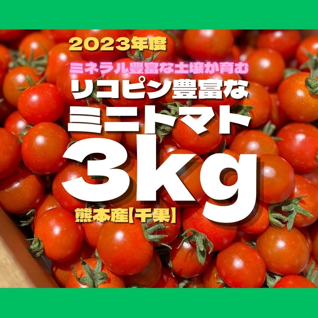 ミニトマト 3キロ 野菜 熊本産地直送 弁当 おかず トマト ...