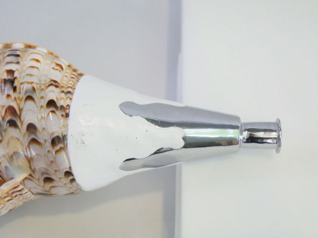 法螺貝 歌口付 サイズ38cm-40cm 真言タイプ