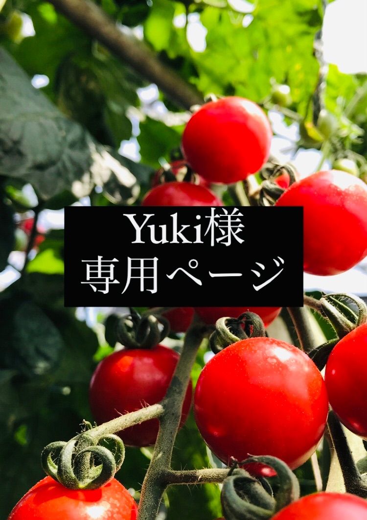Yuki様専用 野菜詰め合わせ - ソタファーム - メルカリ