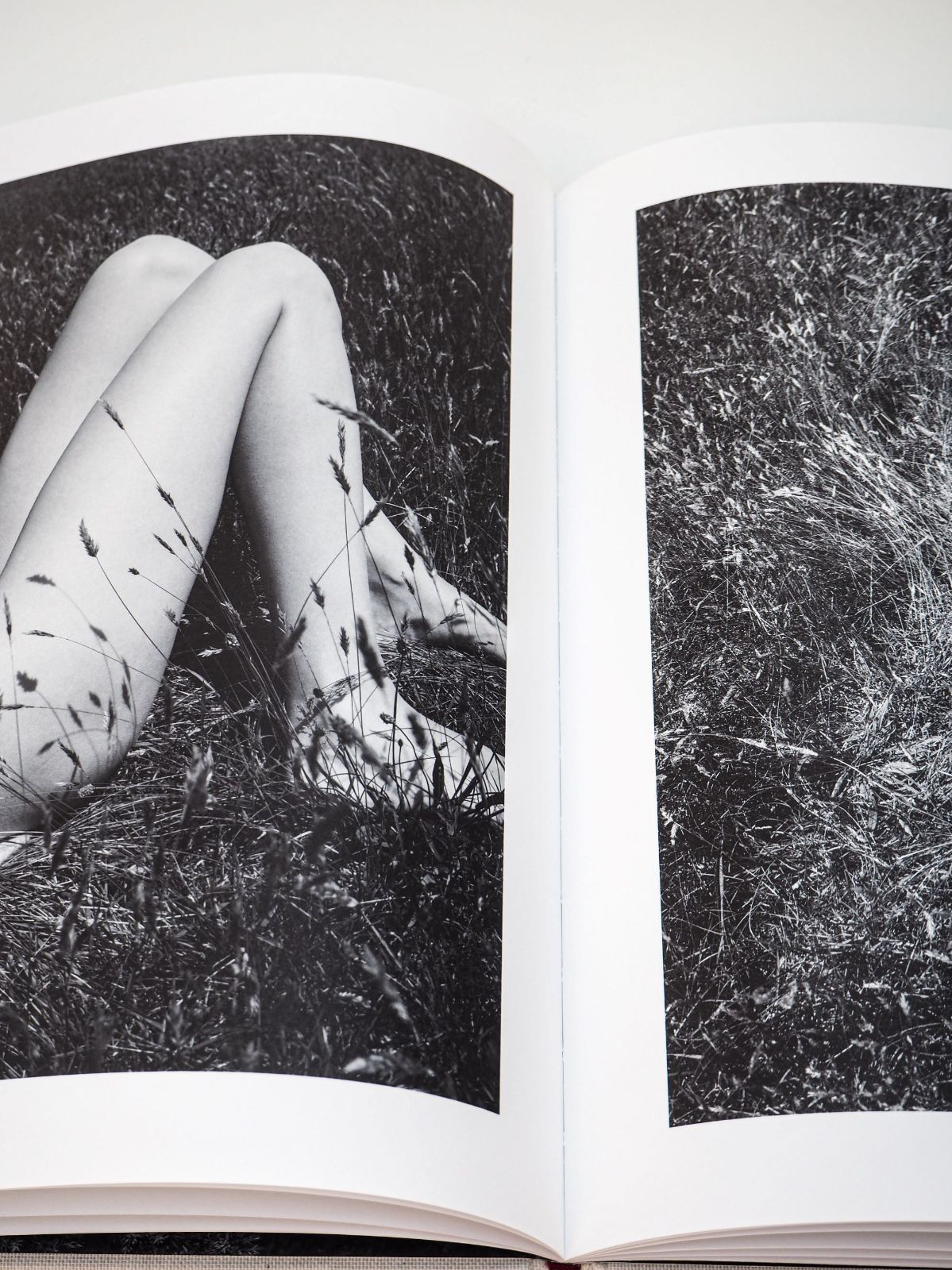 美品❗️Viviane Sassen SOL & LUNA 初版で貴重なサイン入り SOL & LUNA - BOOK AND SONS オンラインストア