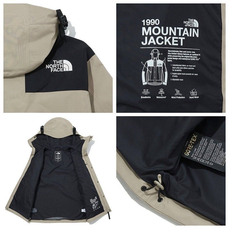 海外限定 THE NORTH FACE GTX GORE-TEX MOUNTAIN JACKET ノース