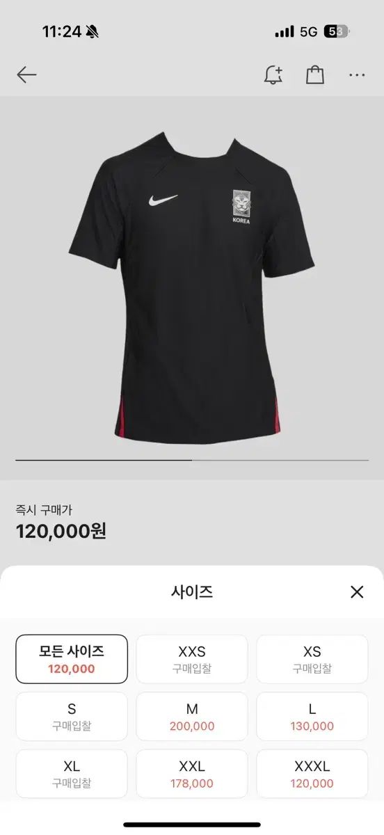 Nike Koreaサッカー韓国代表トレーニングトップ選手支給用 22 ー 24