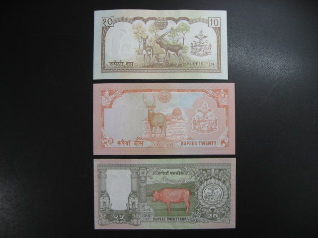 1265ネパール□紙幣□旧紙幣□ルピー□送料込み - メルカリ