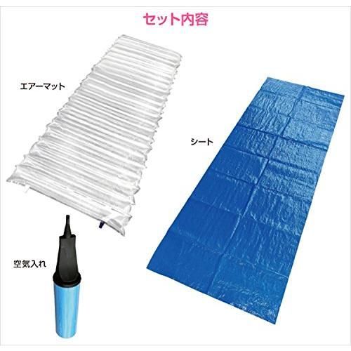 山善 YAMAZEN エアーマット ブルーシート 空気入れ付き クリア YAP-3 MARWIL-DEMENAGEMENTS_CH