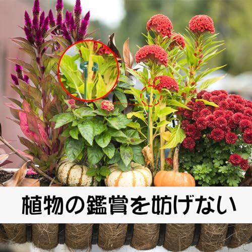 20本組セット 園芸支柱 花支え 27CM 観葉植物 支柱 花ささえ 花