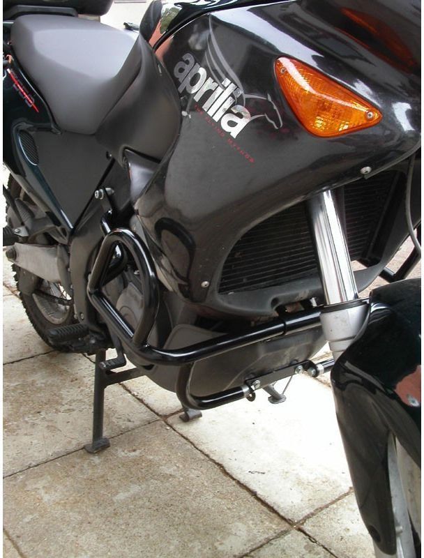 P.veitchii Auburn トップ river アーバンリバー ビカクシダ auburn