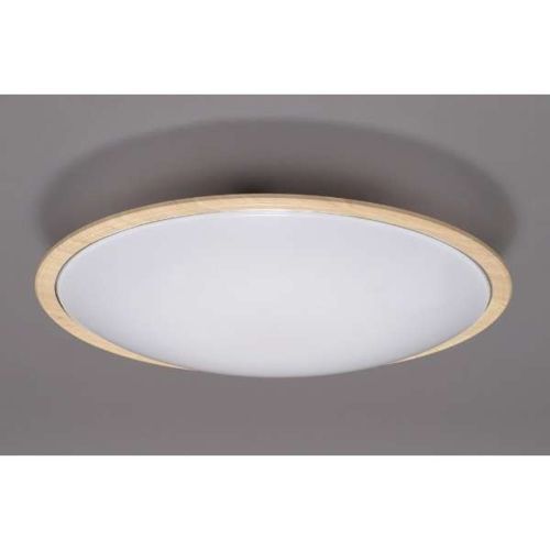 LOWYA 4灯シーリングライト スポットライト LED電球対応 リモコン付き