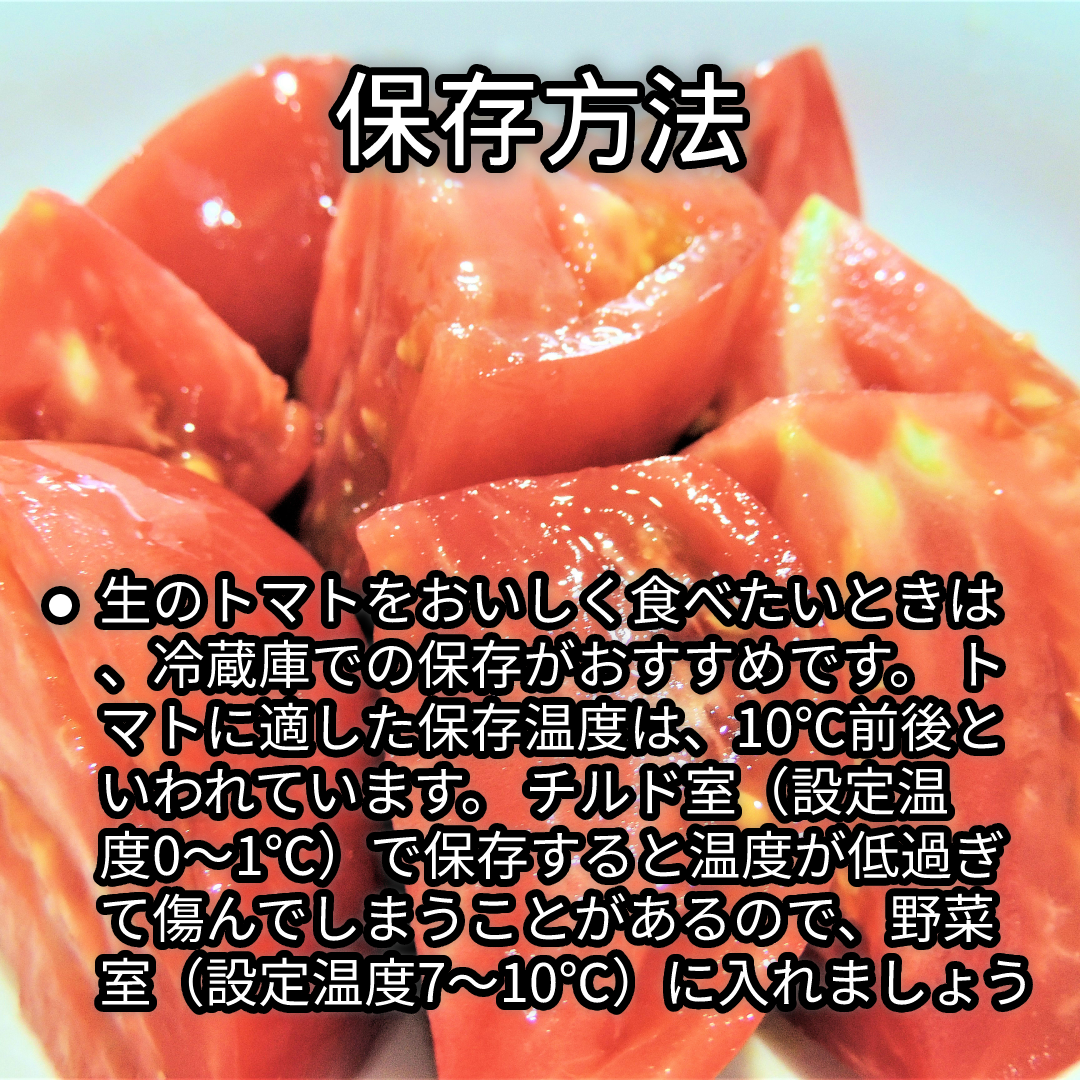 【数量限定品】福岡県産　若松濃縮トマト　1.2kg（15～30玉） 濃縮トマト　若松トマト　トマト-3