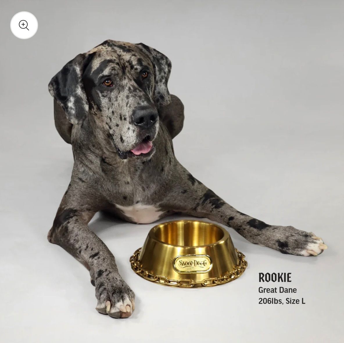 犬 猫 金のお皿 フードボール スヌープドッグコラボ商品