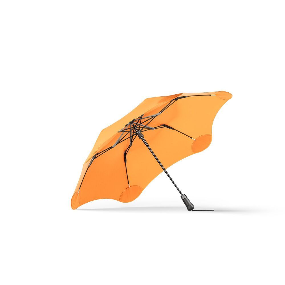 上下5㎝ 根上がり 神入り 野薔薇 雅 ミニバラ 小品盆栽 真柏 黒松 紅葉